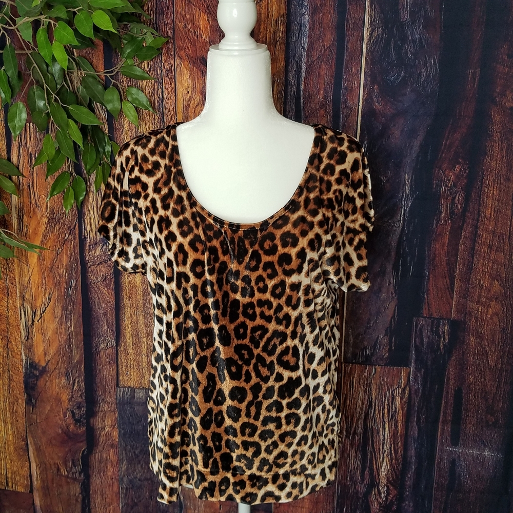 Holly Hock Lucky Brand Leopard Print Velvet Blouse - Picture 2 of 8